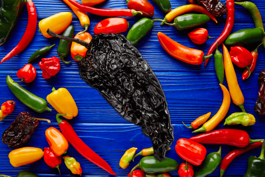 Black pepper on blue background, a versatile spice for Poblano pepper alternatives and cooking substitutions.